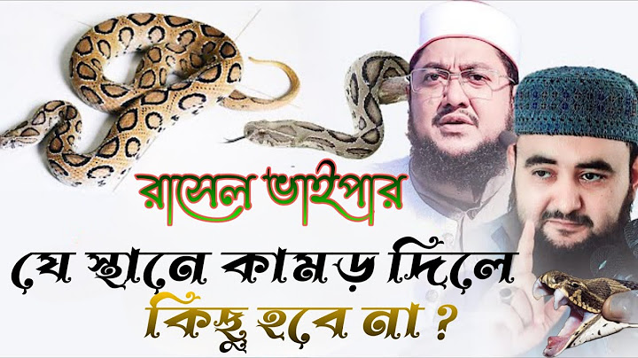 রাসেল ভাইপার যেস্থানে কামড় দিলে কিছুই হবে না কেনো এই কাজ টি করুন 💕 Islam borna waz