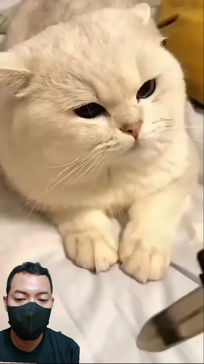 Cc:@yepik_kate  Funny