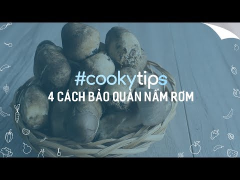 Video: 3 cách để cứu bản thân khỏi cuộc tấn công của đà điểu