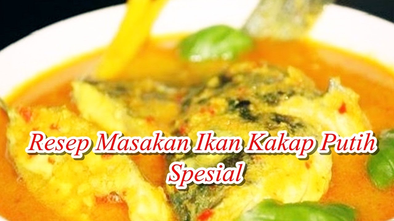 Resep Masakan Ikan Kakap Putih Spesial Youtube