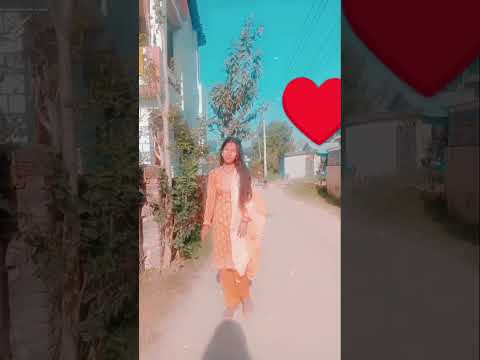 Love Song Timi Pane Sai Ho Ma Paneta Sai Ho
