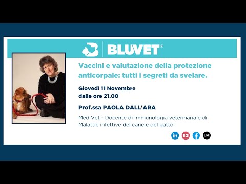 Video: Qual è l'emivita dell'amiodarone, perché è importante che gli studenti lo sappiano?