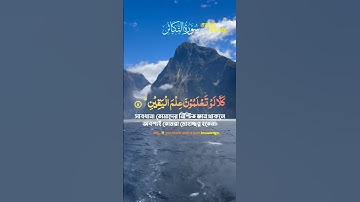 Surah At-Takathur | سورة التكاثر #quran #surah #ummahnetwork