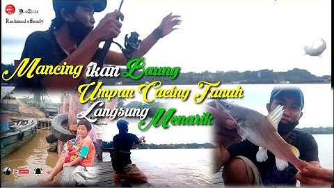 Mancing ikan baung di sungai Mahakam || Pakai umpan cacing tanah