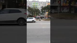Анапа 2019. Собака Переходит Дорогу На Светофор Анапа 2019. Собака Переходит Дорогу На Светофор