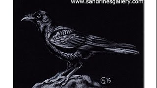 paper drawing prismacolor crow pencils colored premier