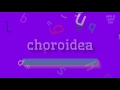 How to say "choroidea"! (High Quality Voices)