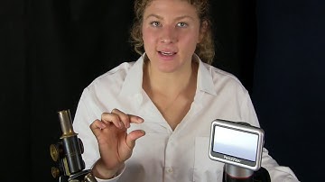 Our Cells & A Digital Microscope