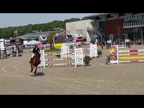Palmyra CSIYH 7 year old Sentower