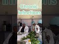 Soldier herbs for chronic infections ジviral #foryou #fyp #fyp シ #viral #fyp