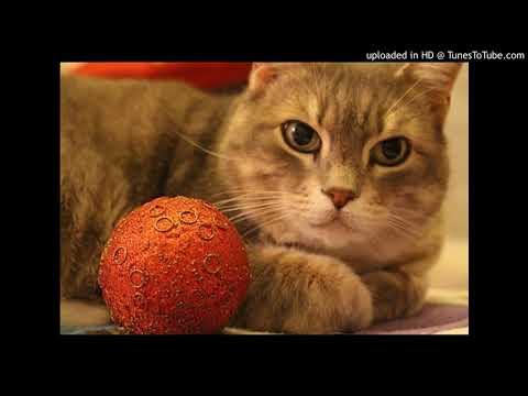 めざせポケモンマスター【歌ってみた】ああくま｟カラオケ｠ニャン声 Pokémon