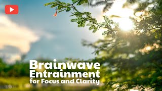 Brainwave Entrainment for Focus and Clarity