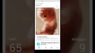 Cara menggunakan aplikasi kehamilan+ screenshot 2