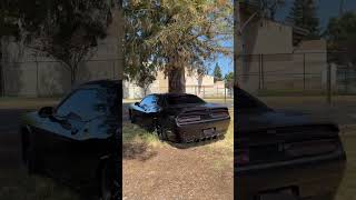 #dodge #challenger #srt #hellcat #widebody #mopar #dodgefam #dodgenation #dodgebrothers #automobile