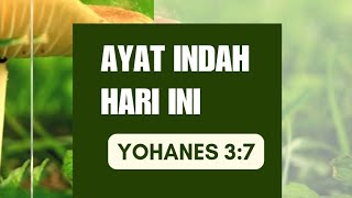 Dilahirkan Kembali, Lahir Baru oleh Roh Kudus | Yohanes 3:7 | AYAT HARIAN Rabu 31 Juli 2024