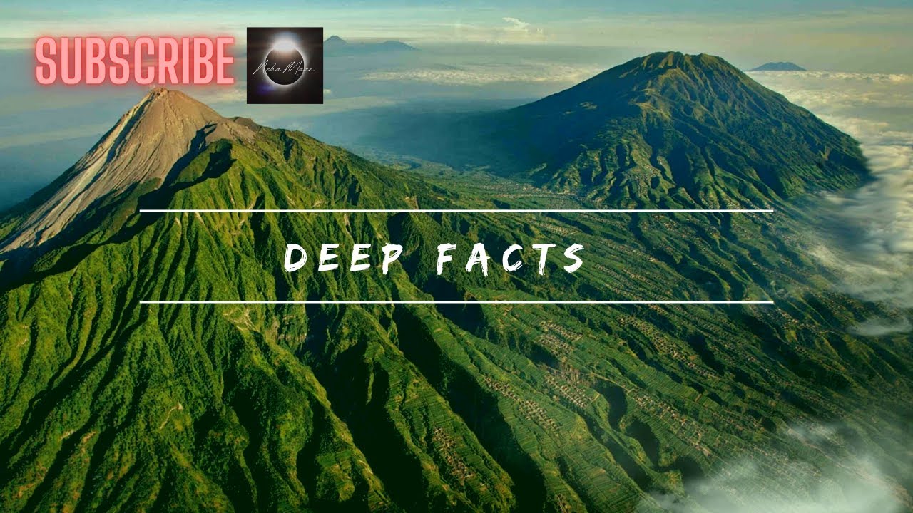 Deep Facts about life| Facts| Travel 