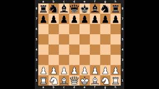 How to Set Up a Chess Board Properly - Quick & Simple Guide – PLA Concept