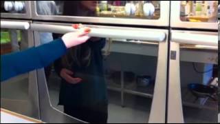 Sluk Solariet - Tomater