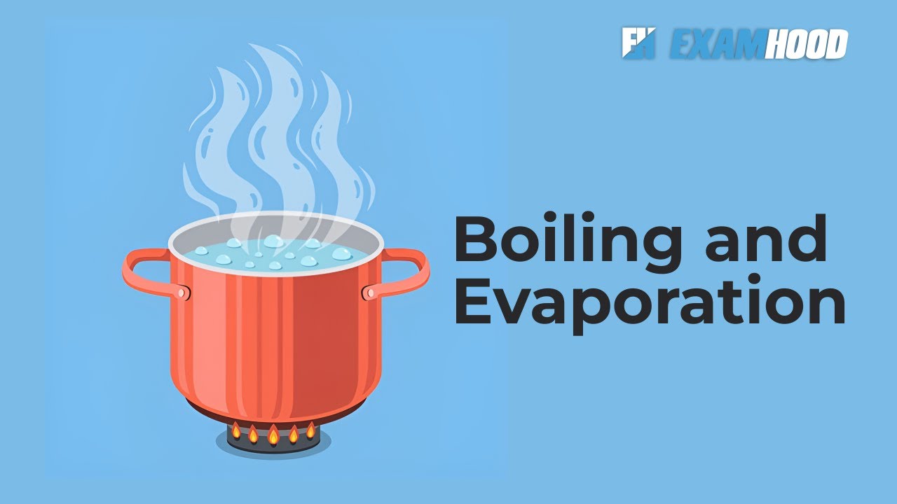 Example Of Boiling And Evaporation