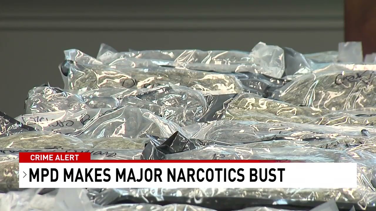 Mobile Narcotics Unit operation seizes $250k worth of marijuana, $71k in cash, 4 guns - NBC 15 WPMI