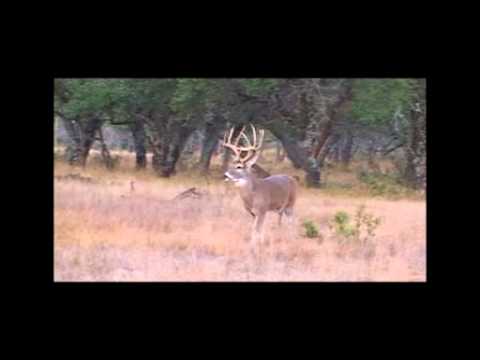 Deer Hunting in Menard Texas at the Lonesome Dove Ranch 