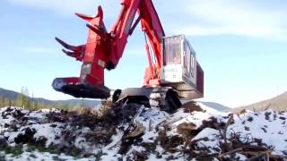 Feller Buncher Madill 2250