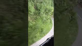 Kerela.reyak.rood.kattapana.marketle.calak.kana.short..video