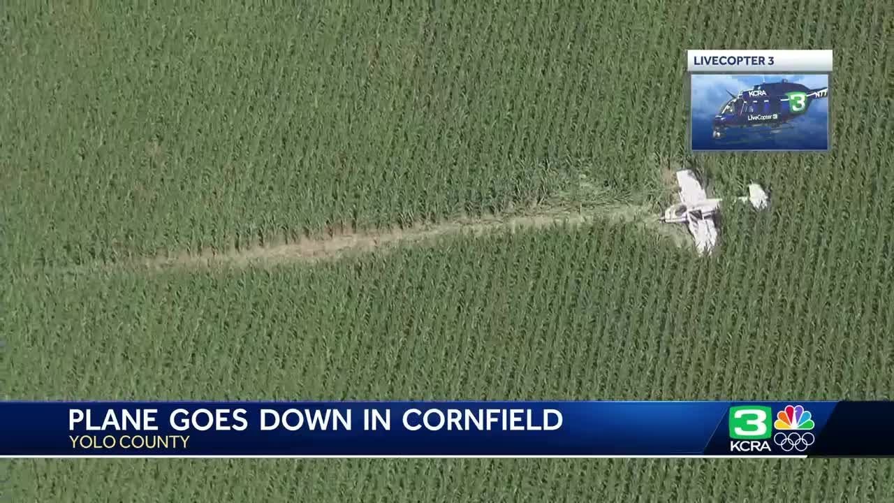 Small plane lands in Yolo County cornfield after reported engine failure