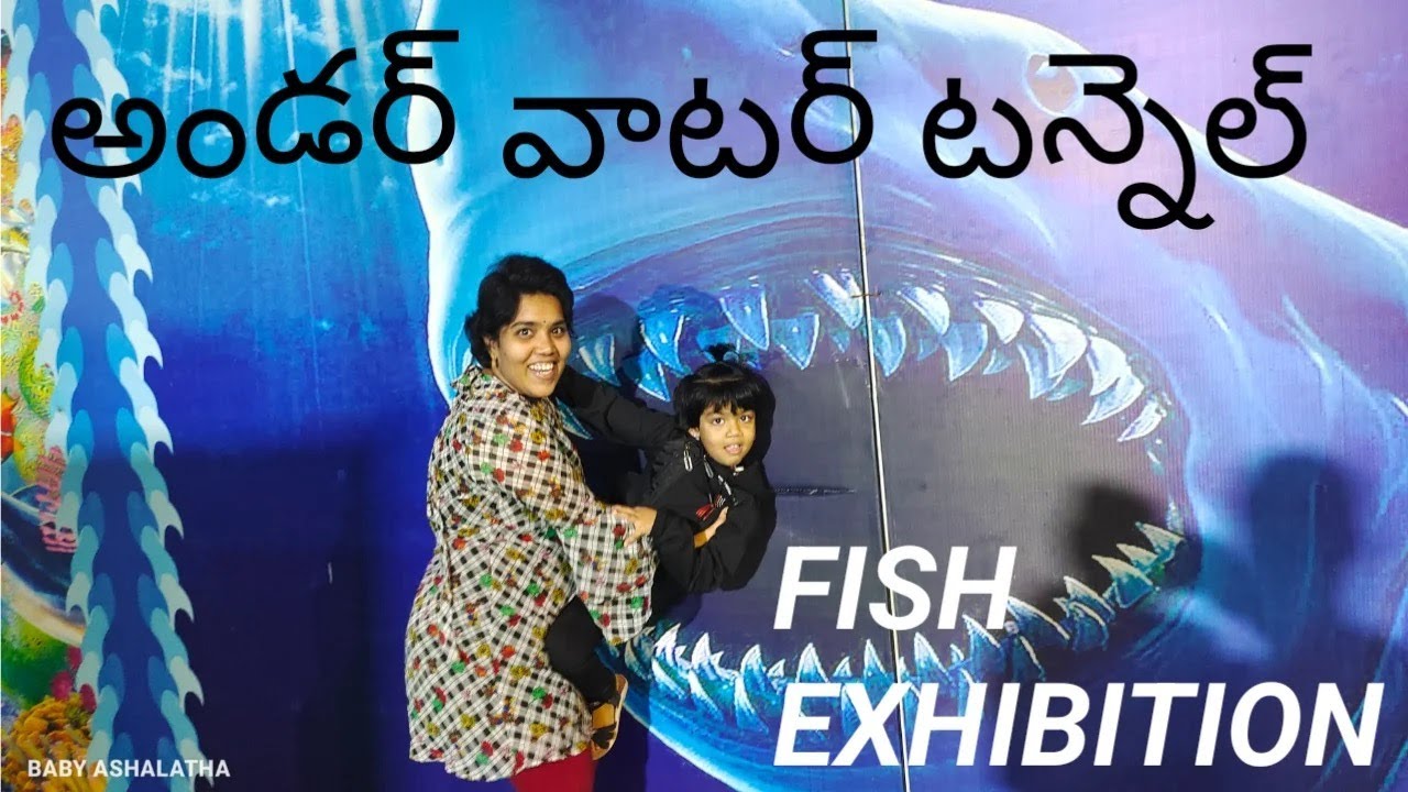 UNDERWATER TUNNEL FISH EXPO Tirupati ॥అండర్ వాటర్ టన్నెల్ ఫిష్