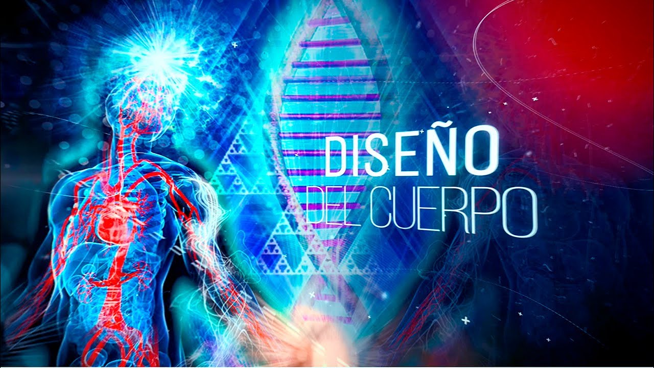 Programa “Diseño del cuerpo”