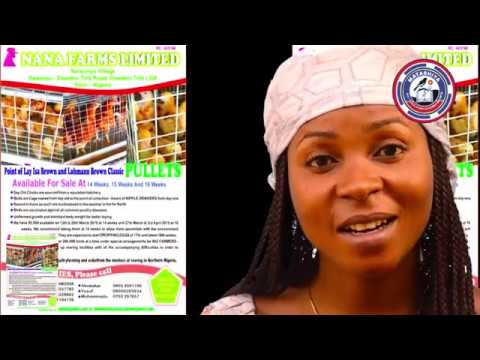 Kiwon Kaji Kashi Na ɗaya Abokin Tafiya