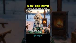 입마름과 목건조에 껌이나 사탕이 도움돼요