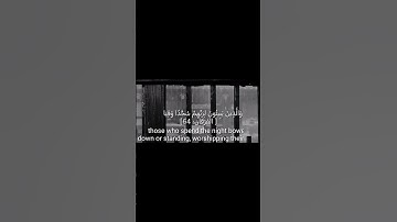 القارئ ادريس بكر