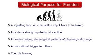 The Development and Function of Emotions