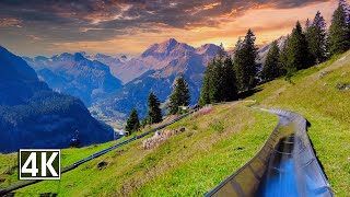 Mountain Coaster Oeschinensee 🇨🇭 An Unforgettable Experience With A Panoramic View Of The Alps