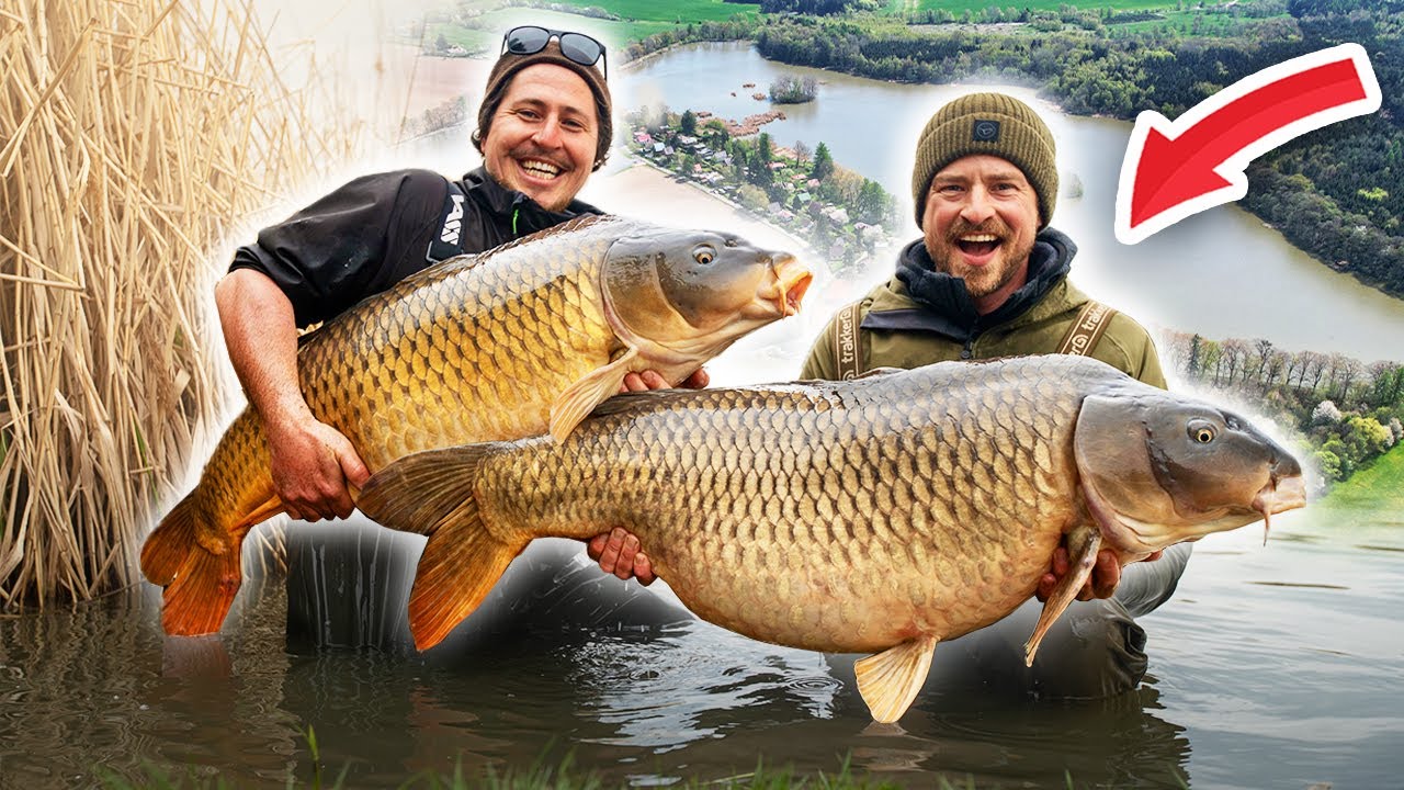 🔥 Big-Fish-Action in Katlov – Traumhafte Karpfen-Session mit Team Korda