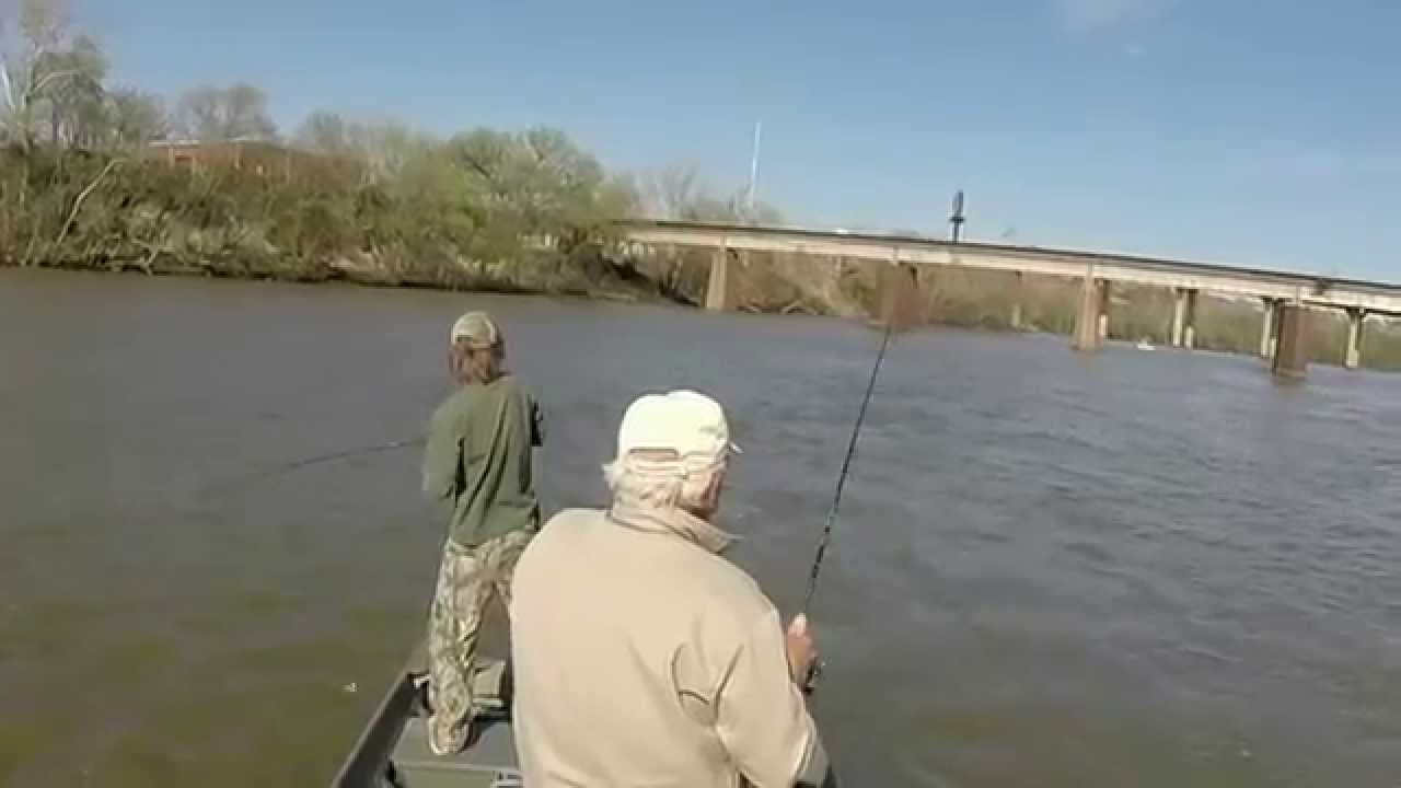 Shad fishing on the James River Downtown Richmond 2015 YouTube