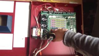 Celebrity Mini System Test 6 Net Worth