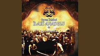 Hakkın Metin Kal'ası-Hicaz Humayun — Ubeydullah Sezikli kapak görseli