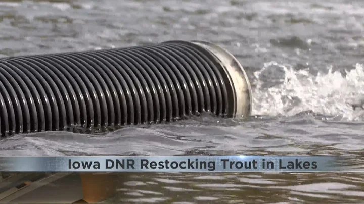 Iowa DNR is restocking Trout in local lakes