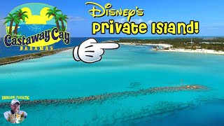 Castaway Cay ~ Disney's PRIVATE Island in the Bahamas! Special Dole Whips & White Sandy Beaches!