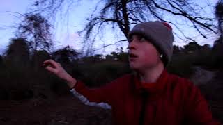 losing my mind in the woods - a song by maxwell greene 694 views 2 years ago 1 minute, 48 seconds