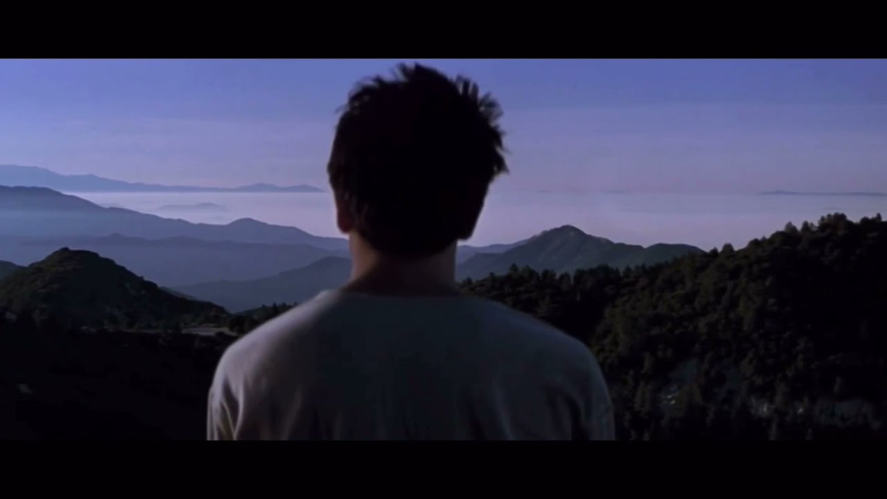 A Tribute to Donnie Darko