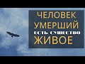 Стоит ли молиться за Умерших? Иоанн Кронштадтский