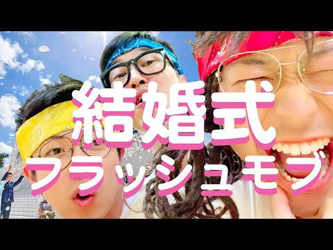 フラッシュモブ【カドザイル】