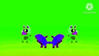 Bingo Intro In Rainbow Slow Power In Confusion