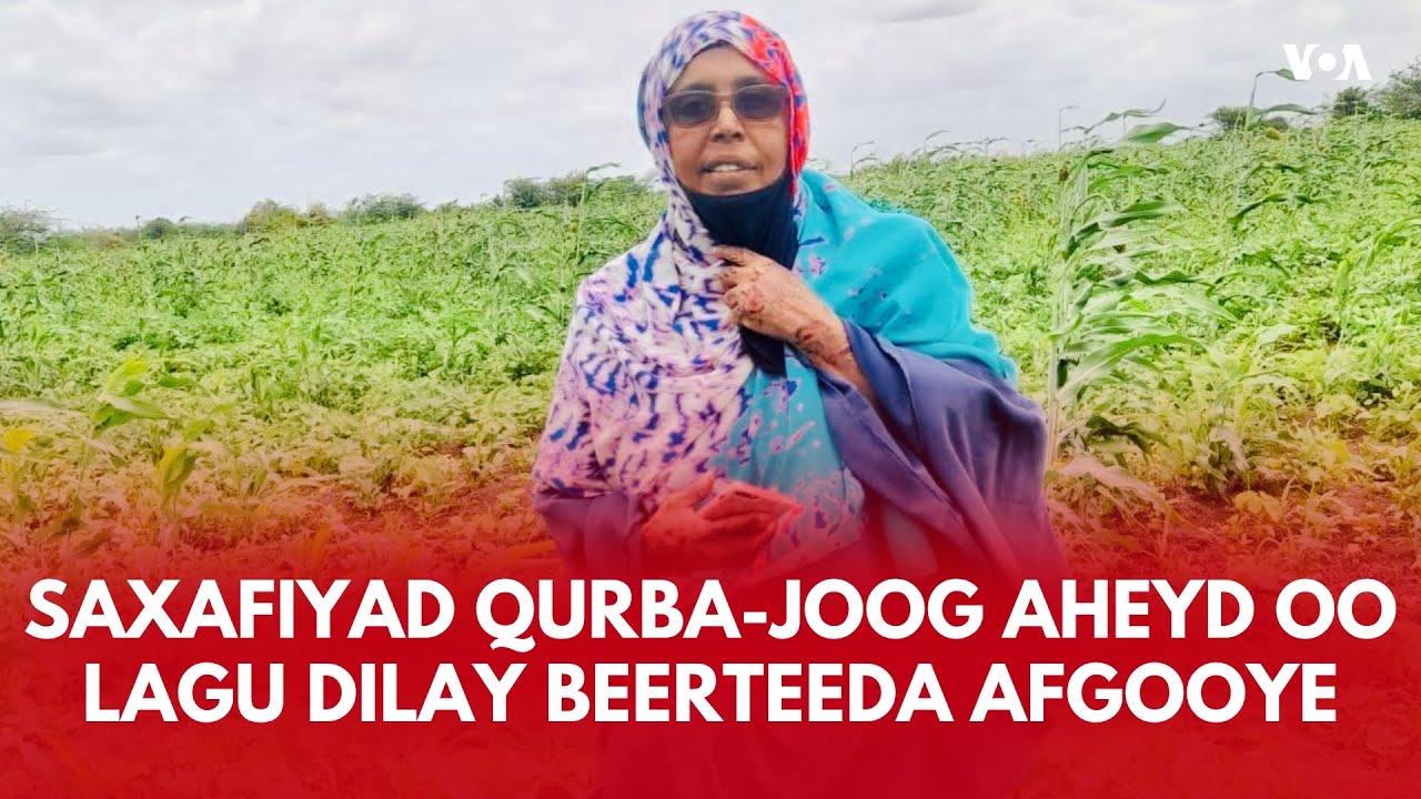 Saxafiyad qurba-joog aheyd oo lagu dilay beer ay ku laheyd Afgooye | VOA Somali