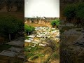 Amazing village #foryou #minivlog #deasert #travel #trending #nature #unfrezzmyaccount