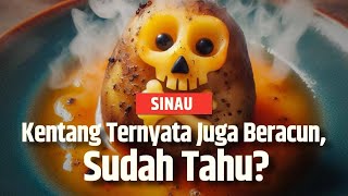 Awas Kentang Beracun Bisa Mematikan, Simak Ciri-cirinya Berikut! | SINAU