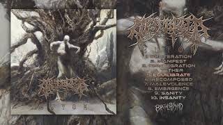 Download Lagu ARSEBREED - BUTOH | NEW ALBUM | ULTRA BRUTAL TECHNICAL | DUTCH MONSTER | BRUTAL MIND 2020 MP3